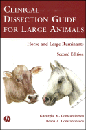 Clinical Dissection Guide for Large Animals: Horse and Large Ruminants - Constantinescu, Gheorghe M, and Constantinescu, Ileana A