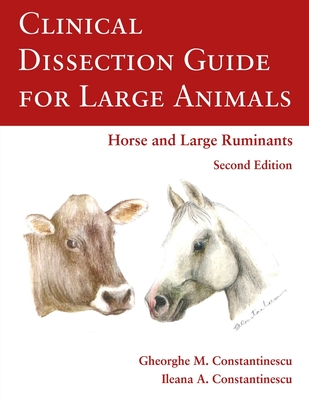 Clinical Dissection Guide for Large Animals - Constantinescu, Gheorghe