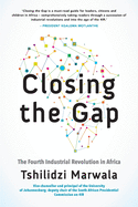 Closing the Gap: The Fourth Industrial Revolution in Africa