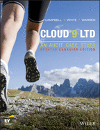 Cloud 9 Ltd II: An Audit Case Study