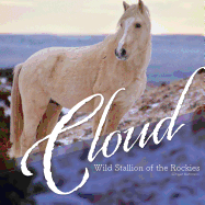 Cloud: Wild Stallion of the Rockies