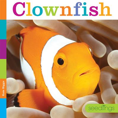 Clownfish - Riggs, Kate