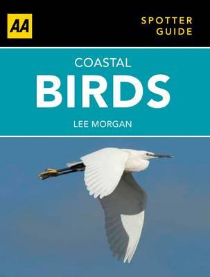 Coastal Birds - Morgan, Lee