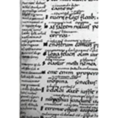 Codices Boethiani: Portugal and Spain v. 4: A Conspectus of Manuscripts of the Works of Boethius - Gibson, Margaret T. (Editor), and Smith, Lesley (Editor), and Passalacqua, Marina (Editor)