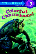 Colorful Chameleons!