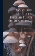 Coloured Figures Of English Fungi Or Mushrooms; Volume 2