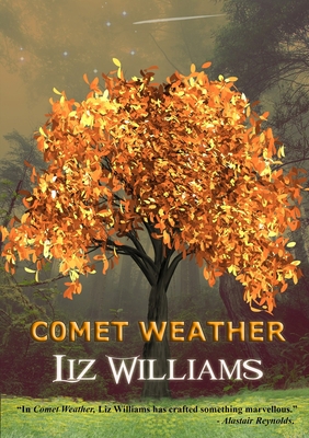 Comet Weather - Williams, Liz