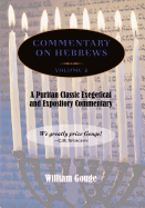 Commentary on Hebrews: Exegetical and Expository - Vol. 2 (PB)