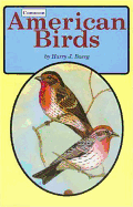 Common American Birds