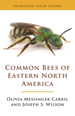 Common Bees of Eastern North America - Carril, Olivia Messinger, and Wilson, Joseph S.