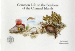 Common Life on the Seashore of the Channel Islands - Schulman, Frank, and Rowe, Gene