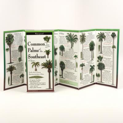 Common Palms of the Southeast & Texas - Meerow, Alan, and Meerlow, Alan W