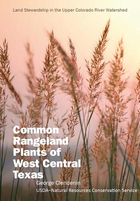 Common Rangeland Plants of West Central Texas - Clendenin, George