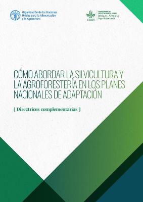 Como abordar la silvicultura y la agroforesteria en los Planes ...