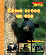 Como Crece un Oso