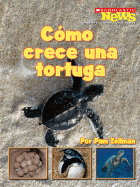 Como Crece una Tortuga