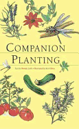 Companion Planting