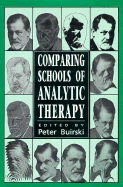 Comparing Schools of Analytic Therapy