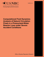 Computational Fluid Dynamics Analysis of Natural Circulation Flows in a Pressurized-Water Reactor Loop under Severe Accident Conditions - Commission, U S Nuclear Regulatory