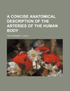 Concise Anatomical Description of the Arteries of the Human Body