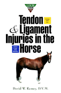 Concise Guide to Tendon and Ligament Injuries in the Horse - Ramey, David W, DVM