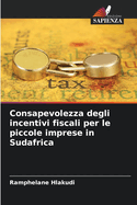 Consapevolezza degli incentivi fiscali per le piccole imprese in Sudafrica