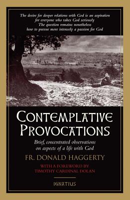 Contemplative Provocations: Brief, Concentrated Observations on Aspects of a Life with God - Haggerty, Donald, Fr.