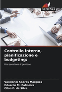 Controllo interno, pianificazione e budgeting