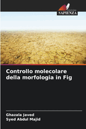 Controllo molecolare della morfologia in Fig