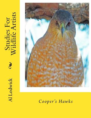 Cooper's Hawks: Studies For Wildlife Artists - Lodwick, Al