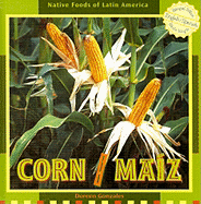 Corn / Ma?z