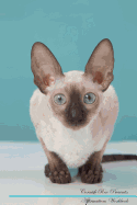 Cornish Rex Affirmations Workbook Cornish Rex Presents: Positive and Loving Affirmations Workbook. Includes: Mentoring Questions, Guidance, Supporting You.