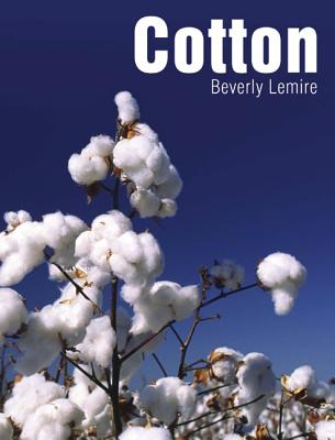 Cotton - Lemire, Beverly, Professor