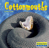 Cottonmouths