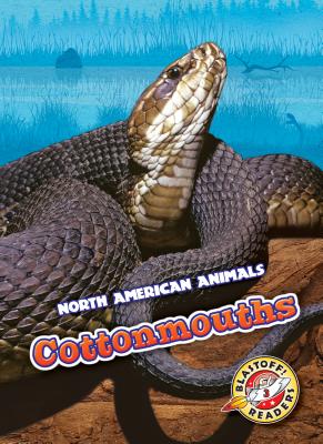 Cottonmouths - Albertson, Al