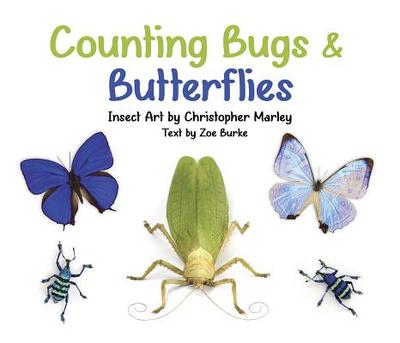 Counting Bugs and Butterflies: Insect Art by Christopher Marley - Burke, Zoe