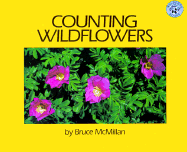 Counting Wildflowers - McMillan, Bruce