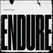 Endure [Vinyl]