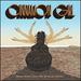 Cinnamon Girl-Women Artists Cover Neil Young for Charity