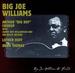 Big Joe Williams & Friends