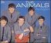 Story of the Animals/02 Cds