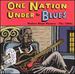 One Nation Under the Blues the 1990s