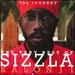 The Journey: the Very Best of Sizzla (1 Cd + 1 Dvd)