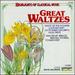 Great Waltzes: Hlts of Classical Music