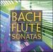 Flute Sonatas 2 / Partita