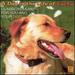 Day in the Life of Lucky: Classical for Dog / Various