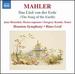 Mahler: Das Lied Von Der Erde (Naxos: 8572498)