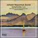 David: Symphony No. 1 & 6 [Johannes Wildner, Orf Radio-Symphonieorchester Wein] [Cpo: 777741-2]