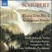 Schubert: Piano Trio No.2 [Alexander Rudin; Erich Hbarth; Aapo Hkkinen] [Naxos: 8573884]