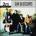 The Best of Gin Blossoms 20th Century Masters the Millennium Collection